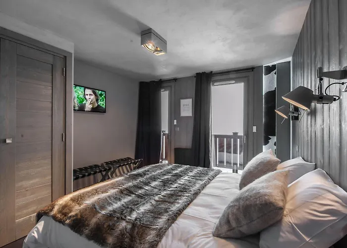 Abondance : Grand Raffine A Avec Parking Et Wifi - Fr-1-563-14 *